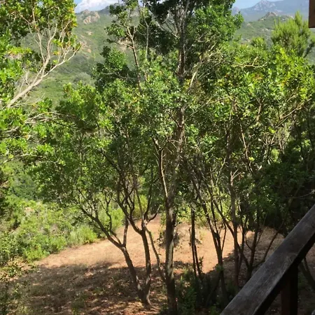 Il Boschetto Dei Corbezzoli Villetta 1h